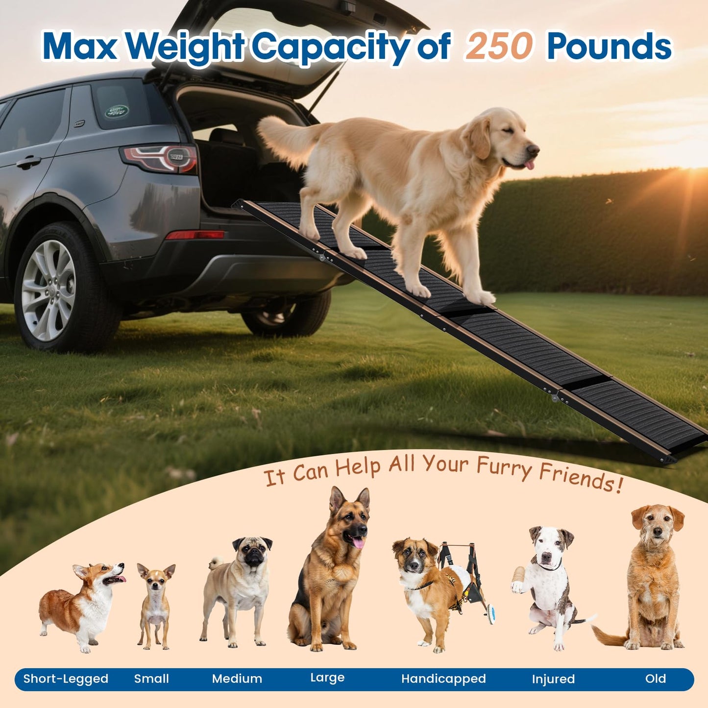 63" Folding Dog Ramp for Car, SUV & Truck – Extra Wide Portable Pet Ramp with Non-Slip Surface, Supports Dogs Up to 250 lbs