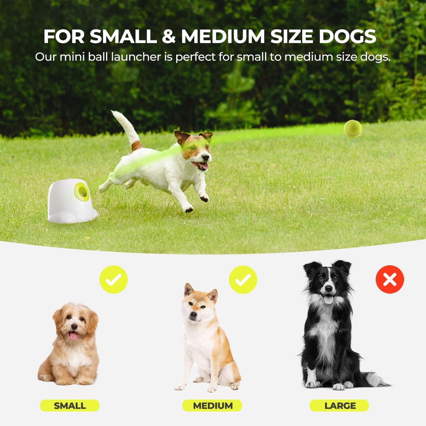 Automatic Dog Ball Launcher – Interactive Fetch Machine with 3 Balls (2”) – Adjustable Distance Thrower for Small Dogs, Indoor & Outdoor Play