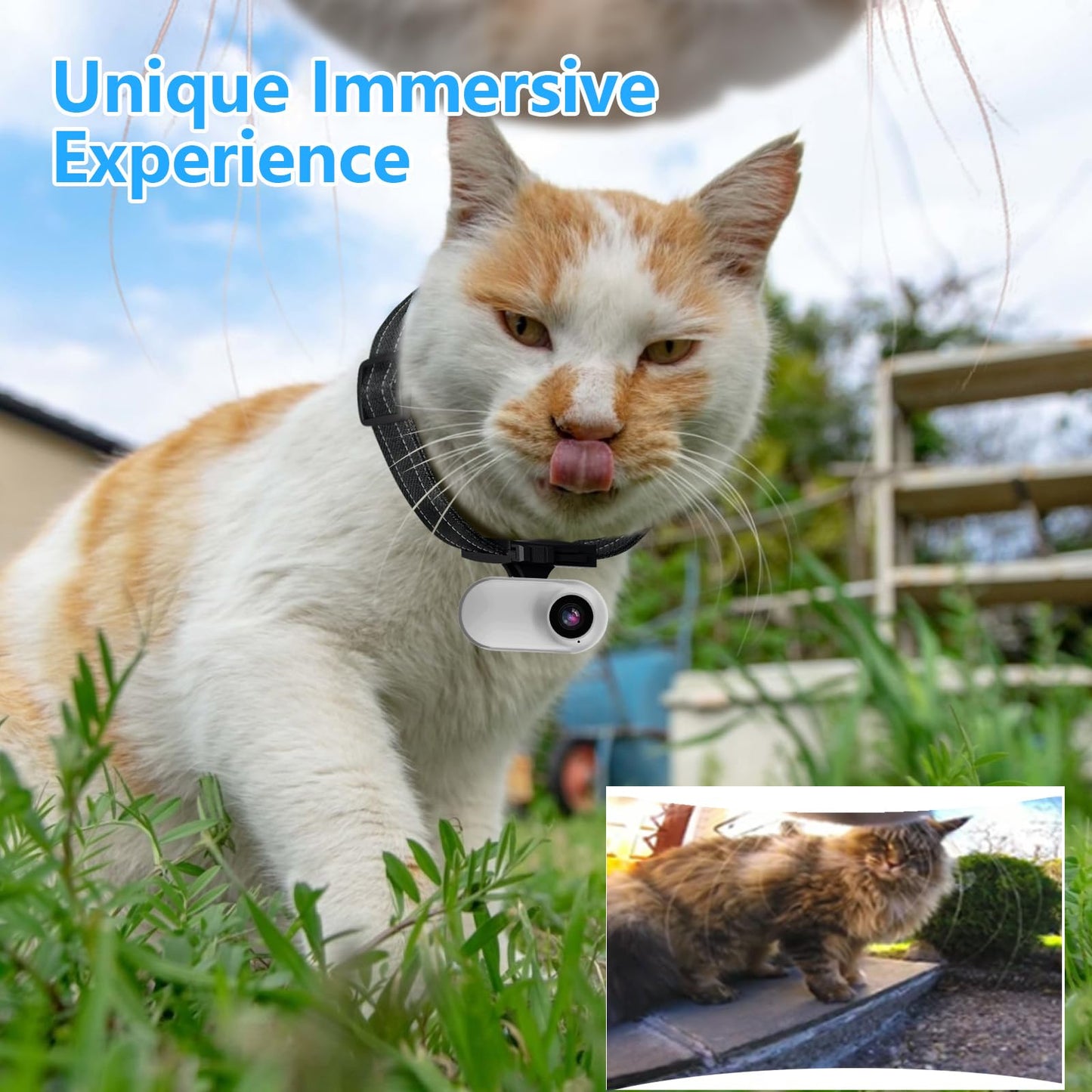 HD 1080P Cat Collar Camera with Video Recording – Lightweight Pet Action Camera with Wide-Angle Lens & Accessories (No WiFi Needed)