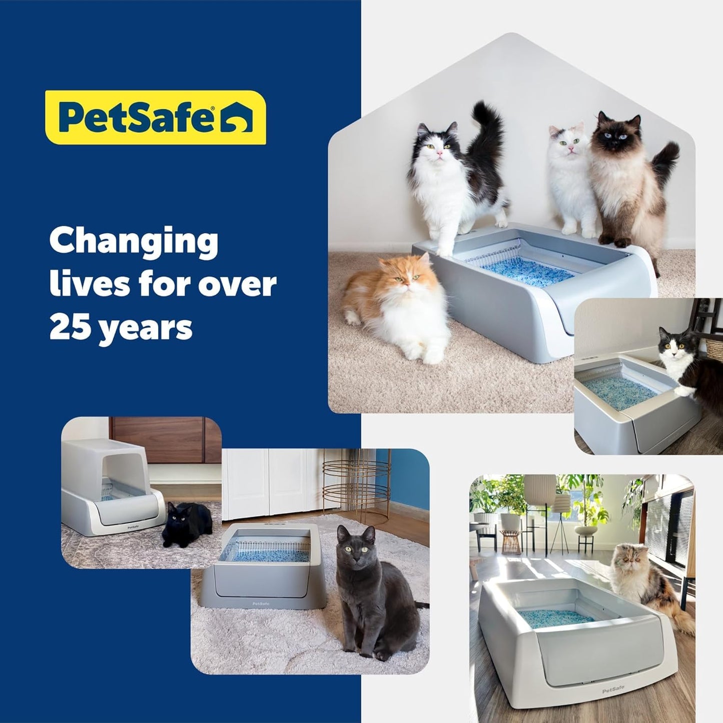 Crystal Cat Litter with Disposable Refill Trays and Lids – Low-Tracking, Odor Control, Leak Protection (4.3 lb Each, Pack of 6)