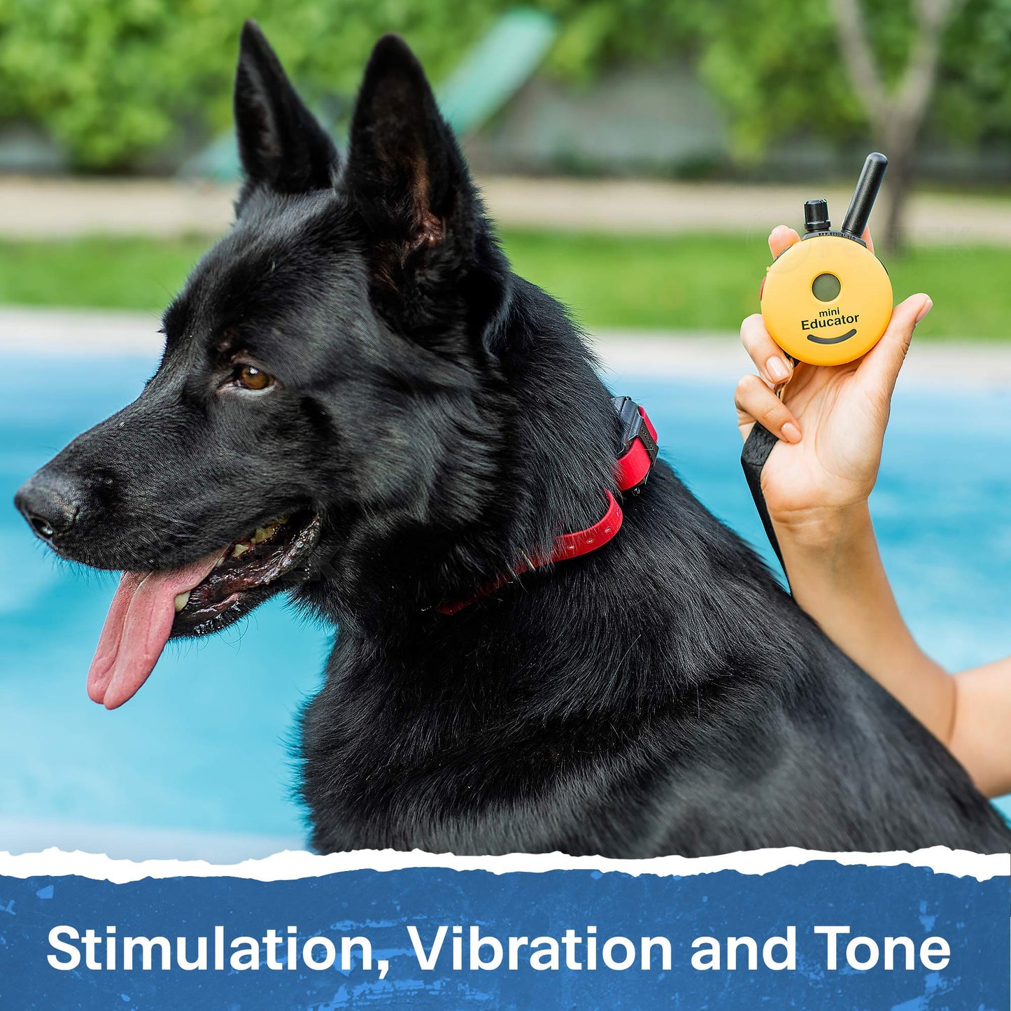 Mini Remote Dog Training Collar with ½ Mile Range – Waterproof E-Collar System with 100 Levels, Vibration, Tone & Training Clicker