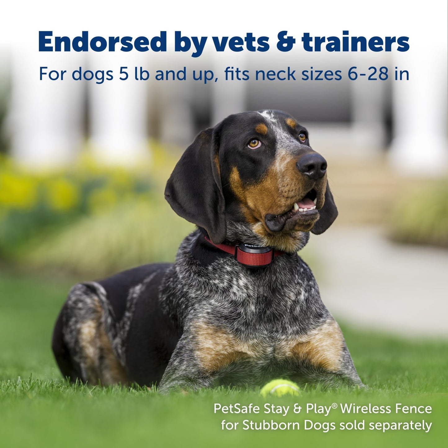Rechargeable Wireless Dog Fence Collar – Waterproof Receiver with Adjustable Correction Levels & Quick Charge (Fits 5 lbs+)