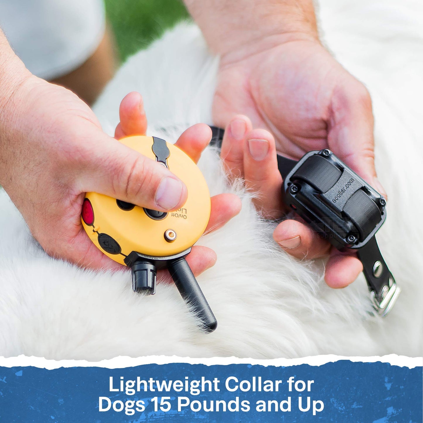 Mini Remote Dog Training Collar with ½ Mile Range – Waterproof E-Collar System with 100 Levels, Vibration, Tone & Training Clicker