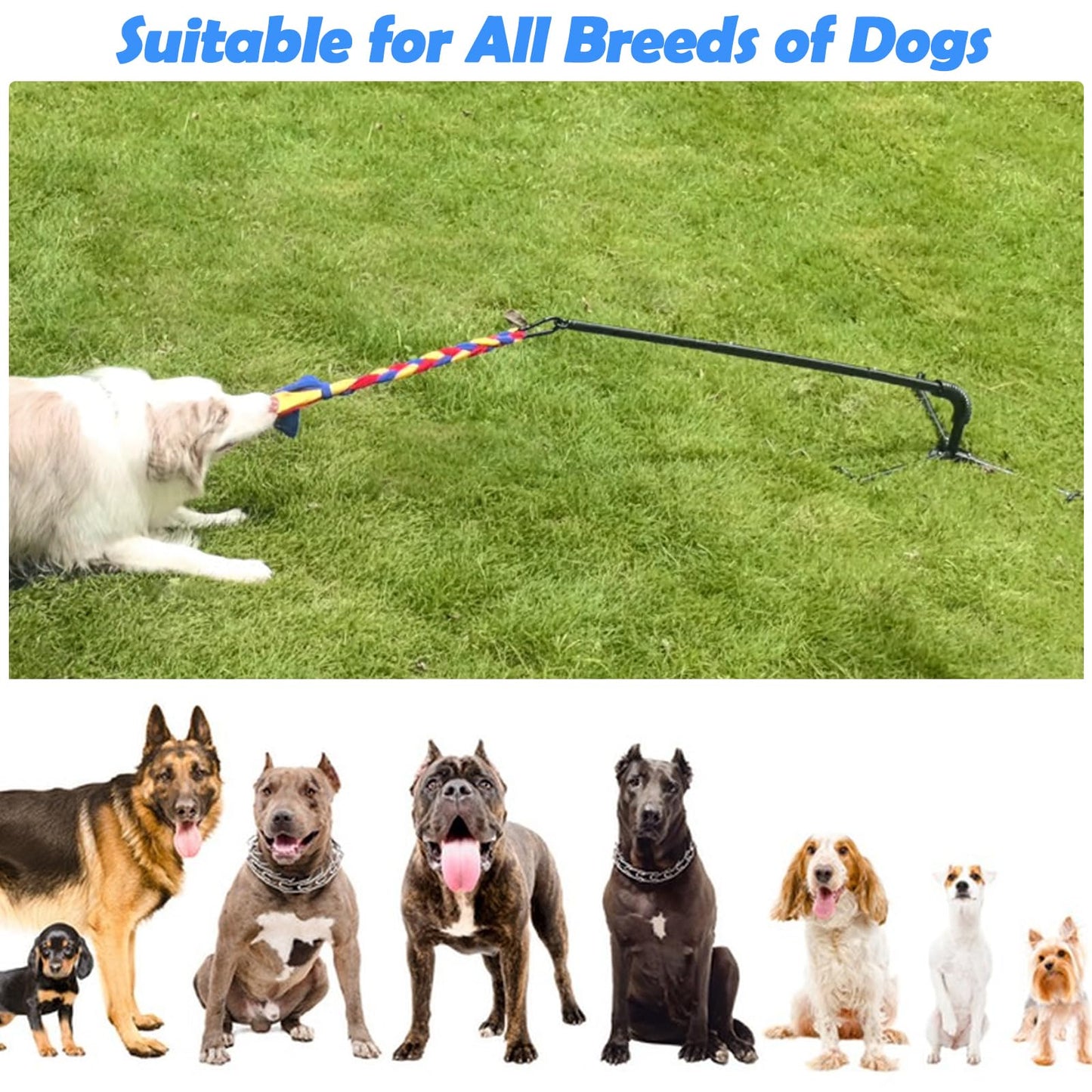 Outdoor Tether Tug Dog Toy – Interactive Tug of War Exercise Game with 2 Rope Toys & Bell – Adjustable Height, Sturdy Base – For Small, Medium & Large Dogs