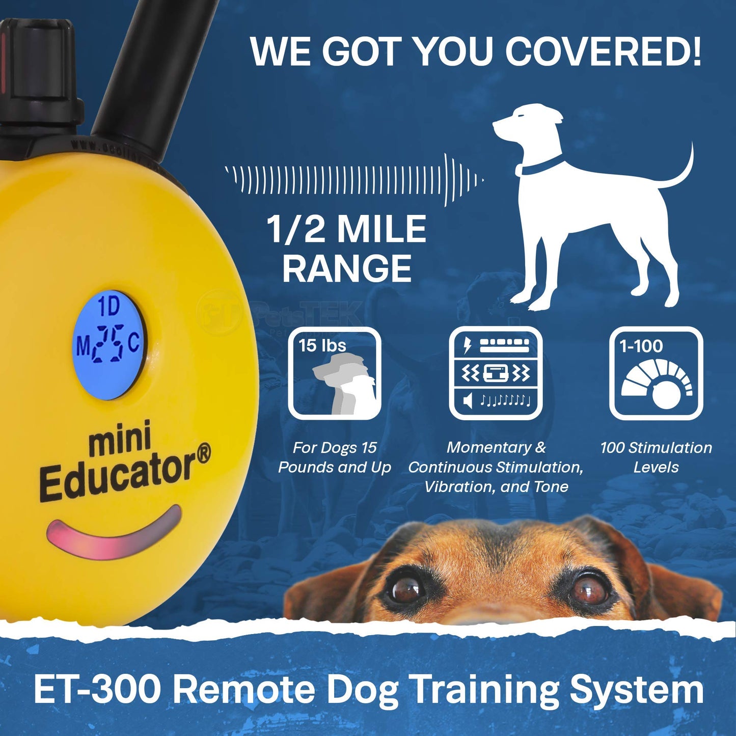Mini Remote Dog Training Collar with ½ Mile Range – Waterproof E-Collar System with 100 Levels, Vibration, Tone & Training Clicker