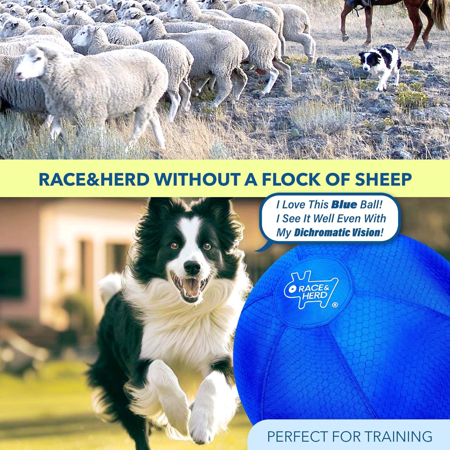 25” XXL Herding Ball for Dogs – Heavy-Duty Outdoor Training & Exercise Toy for Medium Breeds – Durable Dog Toy for Australian Shepherds, Border Collies & Active Dogs (Blue)