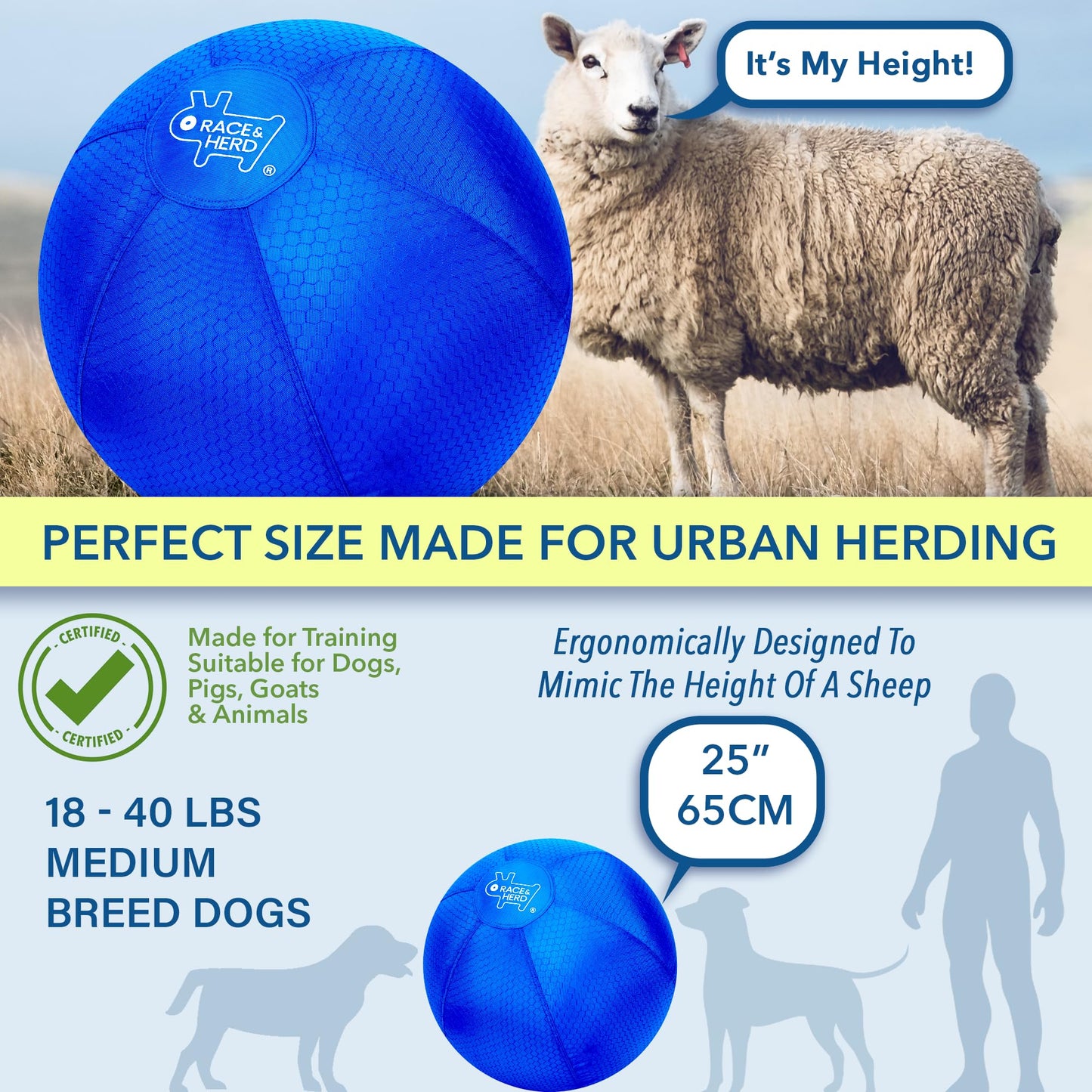 25” XXL Herding Ball for Dogs – Heavy-Duty Outdoor Training & Exercise Toy for Medium Breeds – Durable Dog Toy for Australian Shepherds, Border Collies & Active Dogs (Blue)