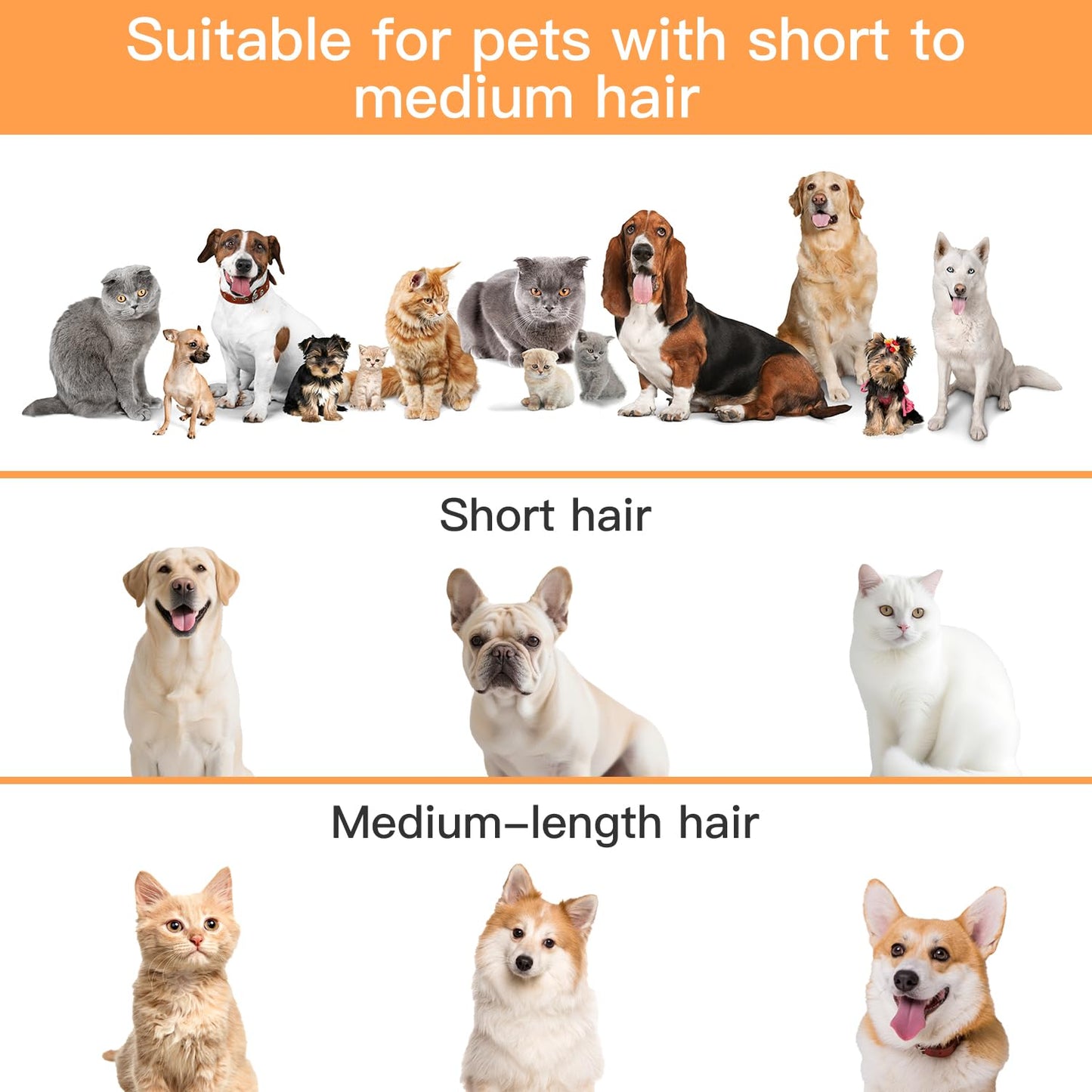 Pet Grooming Vacuum Kit with 12000Pa Suction – Low Noise Dog Hair Vacuum with 6 Clipping Guides & Large 2L Dust Cup