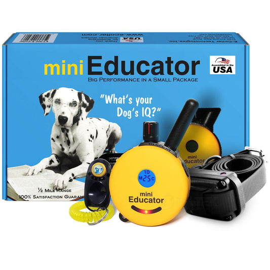 Mini Remote Dog Training Collar with ½ Mile Range – Waterproof E-Collar System with 100 Levels, Vibration, Tone & Training Clicker